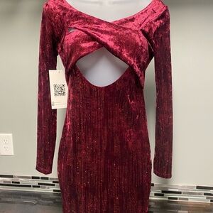 Elegant Velvet Burgundy Dress